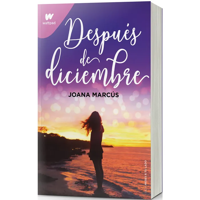 Portada de Despues de Diciembre